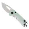 Buck Knives Buck Budgie Natural Green Hue G10 Frame Lock Knife