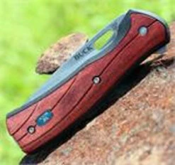 Buck Knives Buck 346RWS Vantage Avid, 3.25" 420HC Plain Blade, Rosewood Dymondwood Handle -Knife Haven Shop 346rws 21614.1566585913