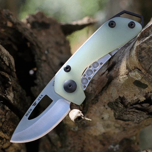 Buck Knives Buck Budgie 2" Satin Jade G-10 Folder 0417GRS-B -Knife Haven Shop BU417GRS.1 56262.1626893794