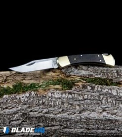 Buck Knives Buck 110 Manual Folding Knife Black Ebony (3.75" Satin) 0110BRS -Knife Haven Shop Buck 110 Ebony Manual Folding Knife Satin 0110BRS BHQ 2657 kp log web