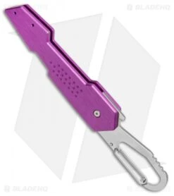 Buck Knives Buck Revolution Plunge Lock Knife W/ Carabiner Purple (3" Satin Serr) B437 -Knife Haven Shop Buck Revolution Plunge Carabiner Purple Satin Serr B437 PLX 0 BHQ 71291 jr side