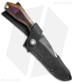 Buck Knives Buck Verge Limited Edition Fixed Blade Knife CF/Ironwood (3.75" Satin) 019IWSLE -Knife Haven Shop Buck Verge Limited Ed CF Ironwood 019IWSLE BHQ 41111 jr sheath