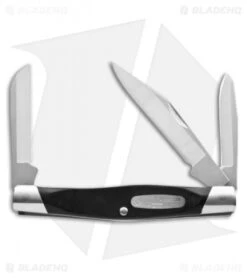 Buck Knives Buck Stockman Knife 3.875" Black Valox 0301BKS