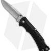 Buck Knives Buck Bucklite Max Lockback Knife Black GRN (3" Satin) 0482BKS