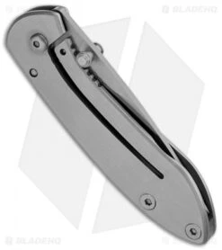 Buck Knives Buck Colleague Frame Lock Knife (2" Satin) 0325SSS -Knife Haven Shop buck colleage 325sss b side
