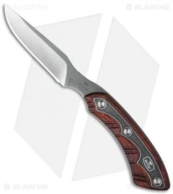 Buck Knives Buck 543 Open Season Caper Fixed Blade Knife Dymondwood (3.5" Satin) 0543RWS