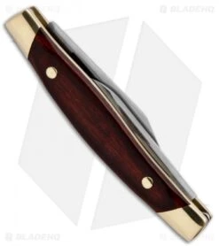 Buck Knives Buck Companion Knife 3" Rosewood Dymondwood 0309RWS -Knife Haven Shop buck309rws b 7465 companion side